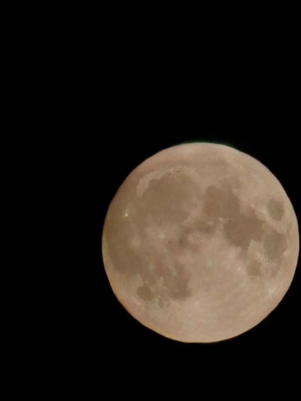 Фото из соцсетей