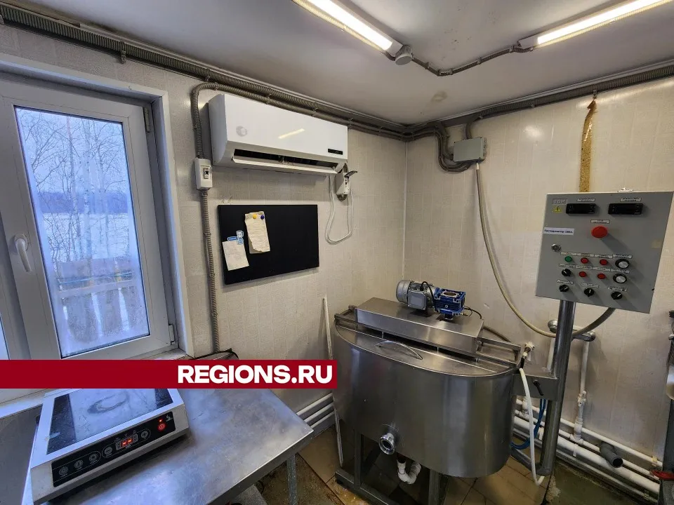 Фото: Дмитрий Алексеенко