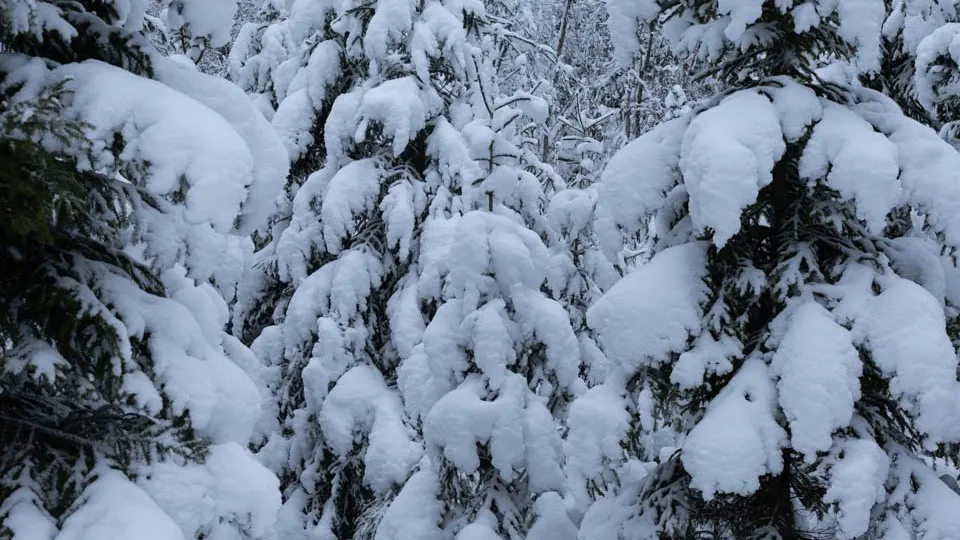 Фото: REGIONS/Роман Малышенко