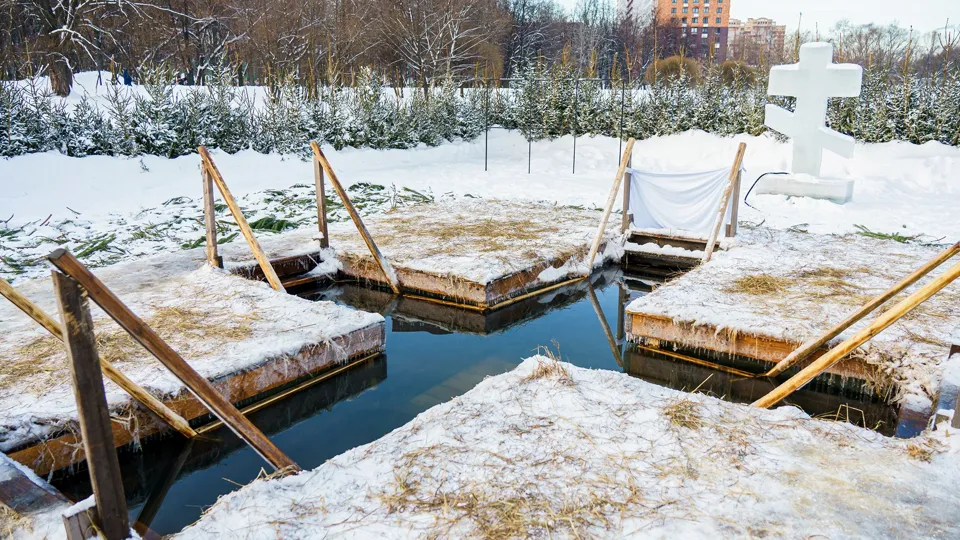 Фото: медиасток.рф