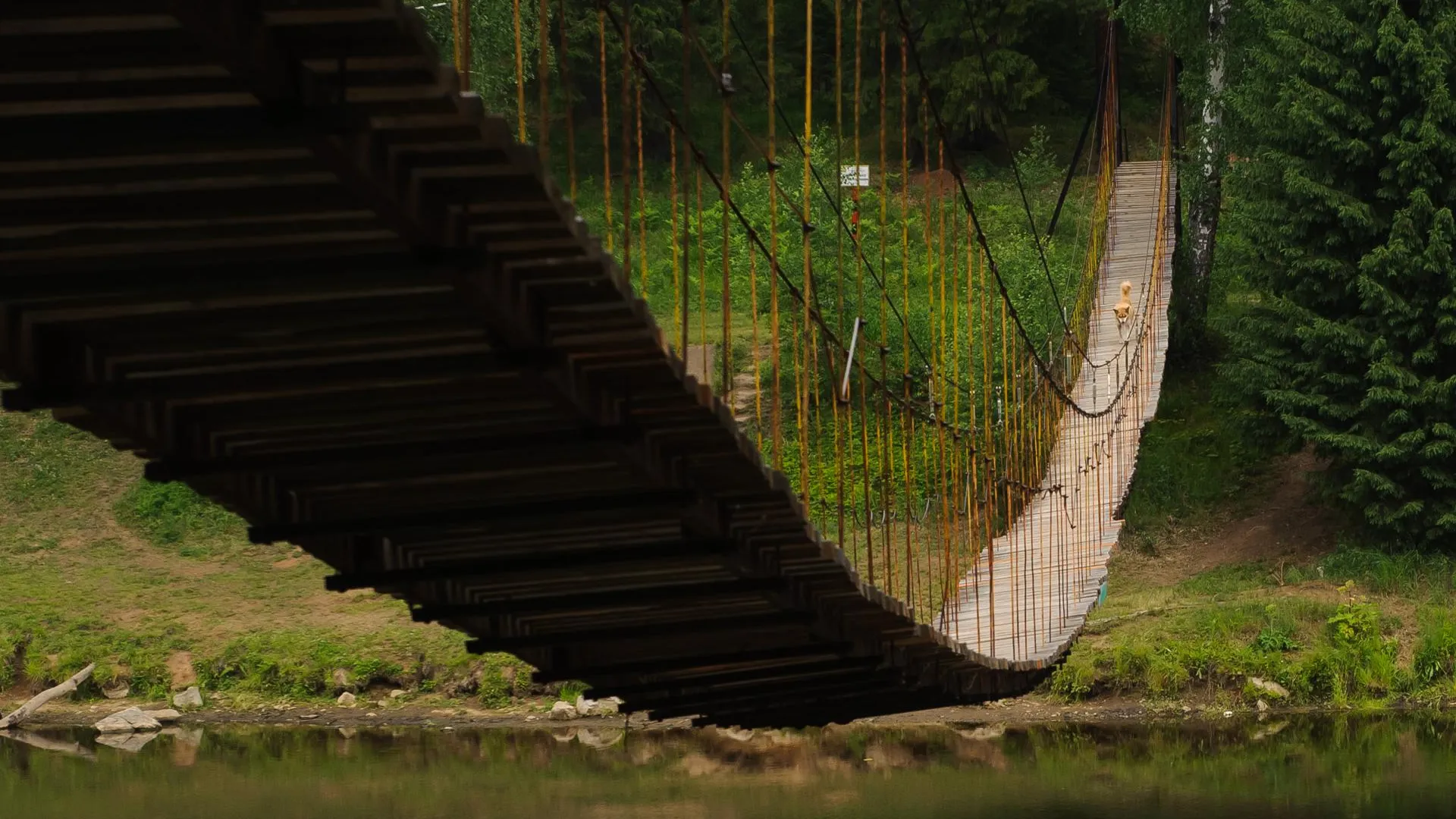 Dmitry Chasovitin/Global Look Press