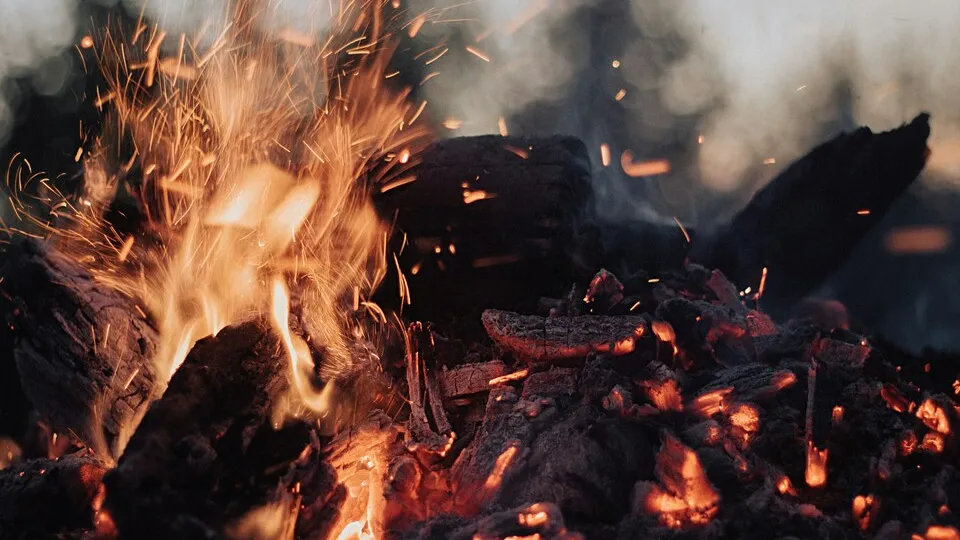 Фото: unsplash.com