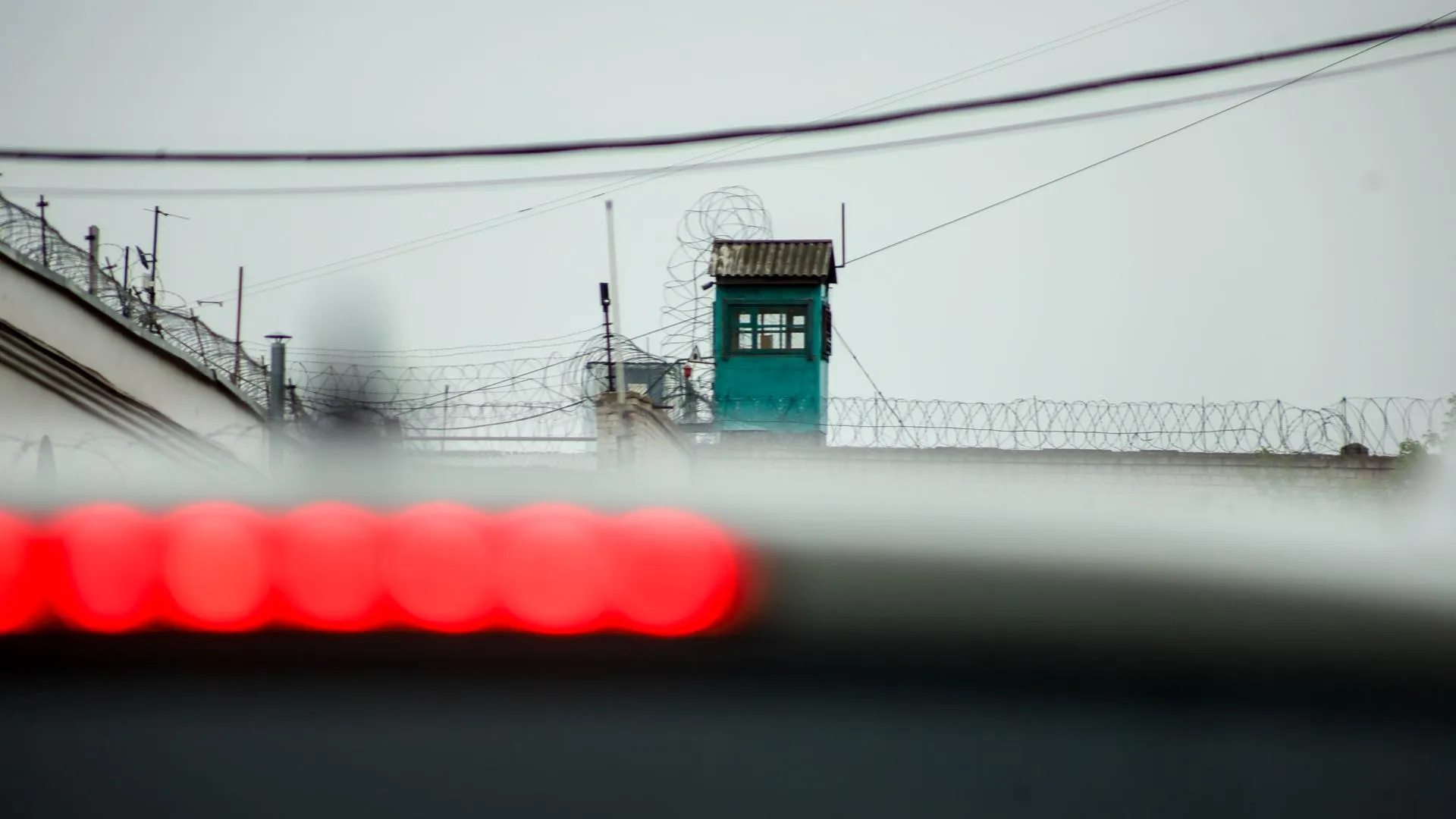 Elena Mayorova/Global Look Press