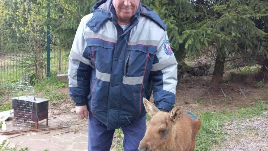 Фото: Пресс-служба Минсельхозпрода МО