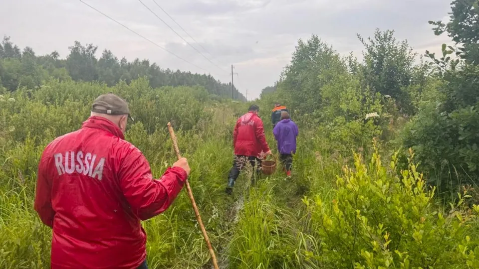 Фото: ГКУ МО «Мособлпожспас»