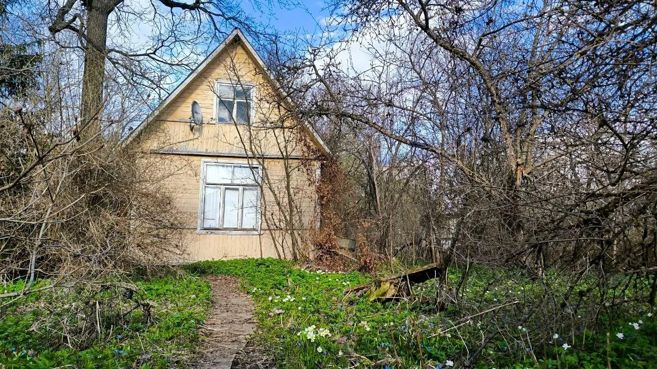 Картинка