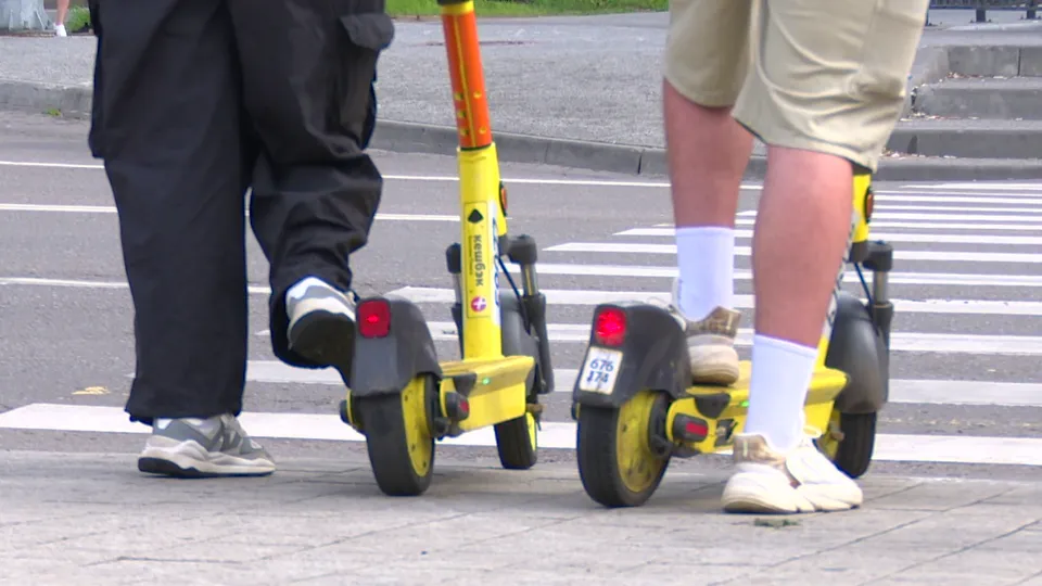 Фото: МедиаБанк Подмосковья/Ксения Казакова