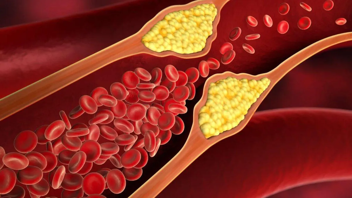 Фото: Pixabay.com