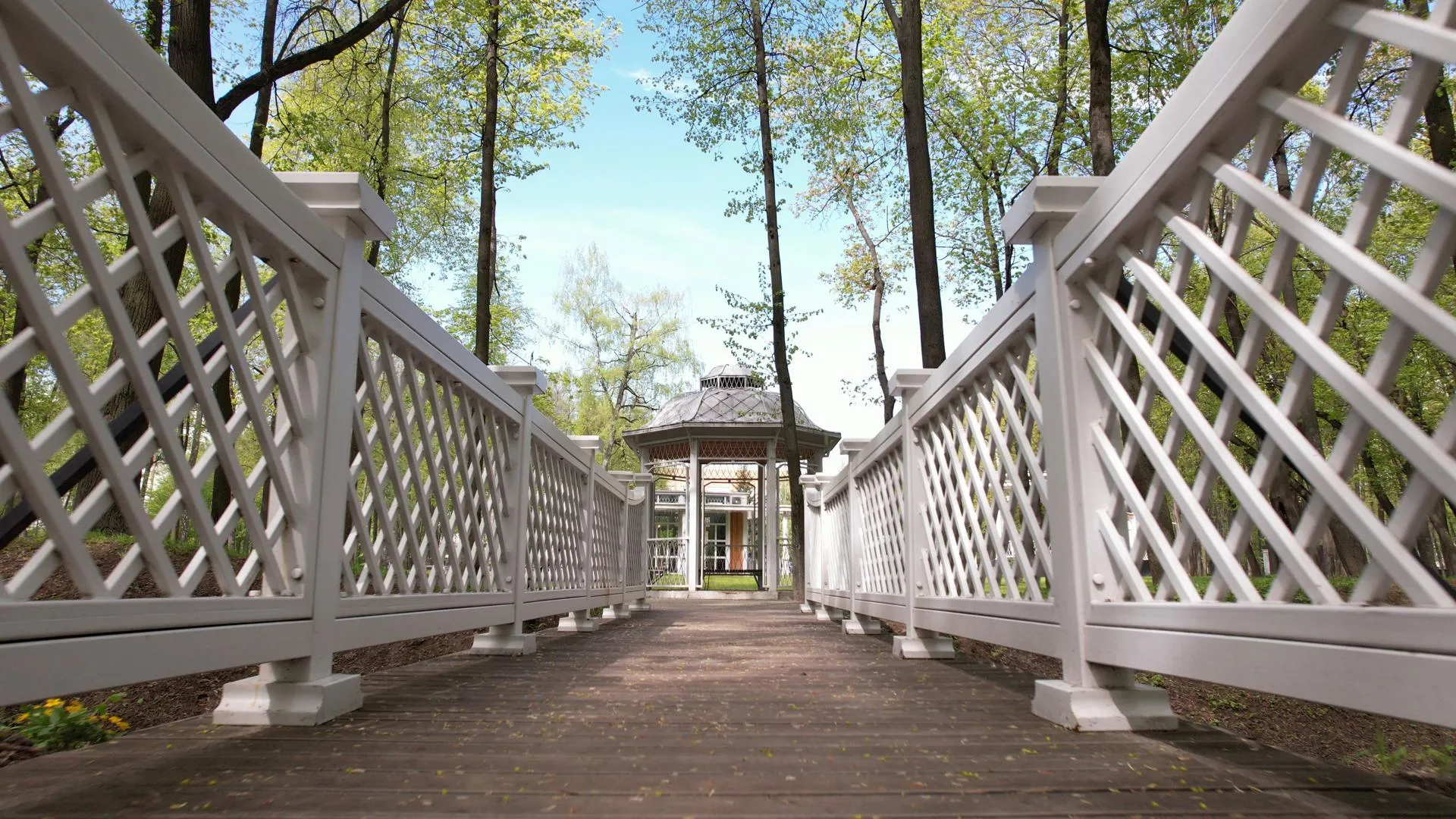 Фото: Ксения Борцова