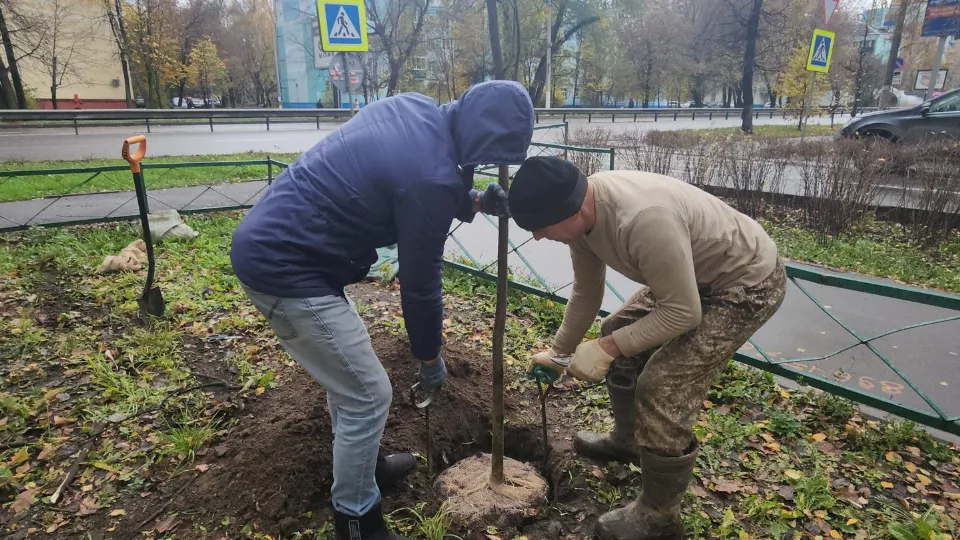 Фото: МедиаБанк Подмосковья/Наталья Лымарь