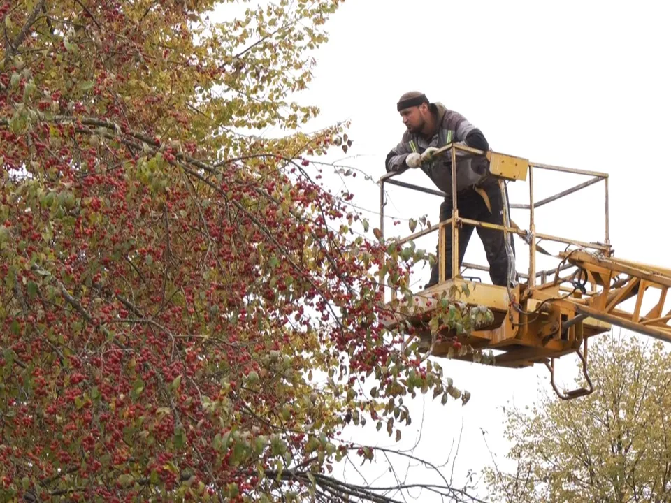 Фото: пресс-служба администрации городского округа Дубна