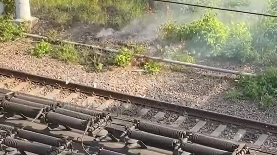 Фото: t.me/tg_korolev