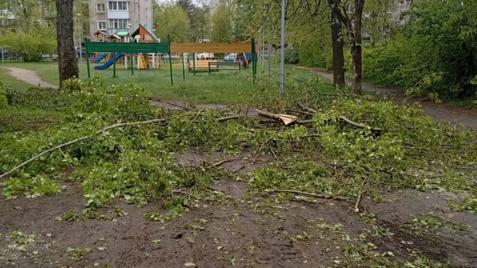 Фото: телеканал «Дубна»