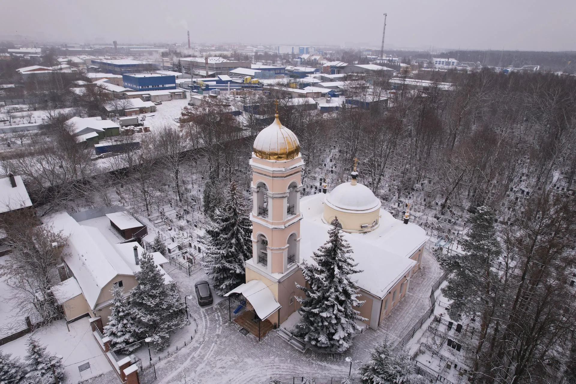 Дарья Московцева