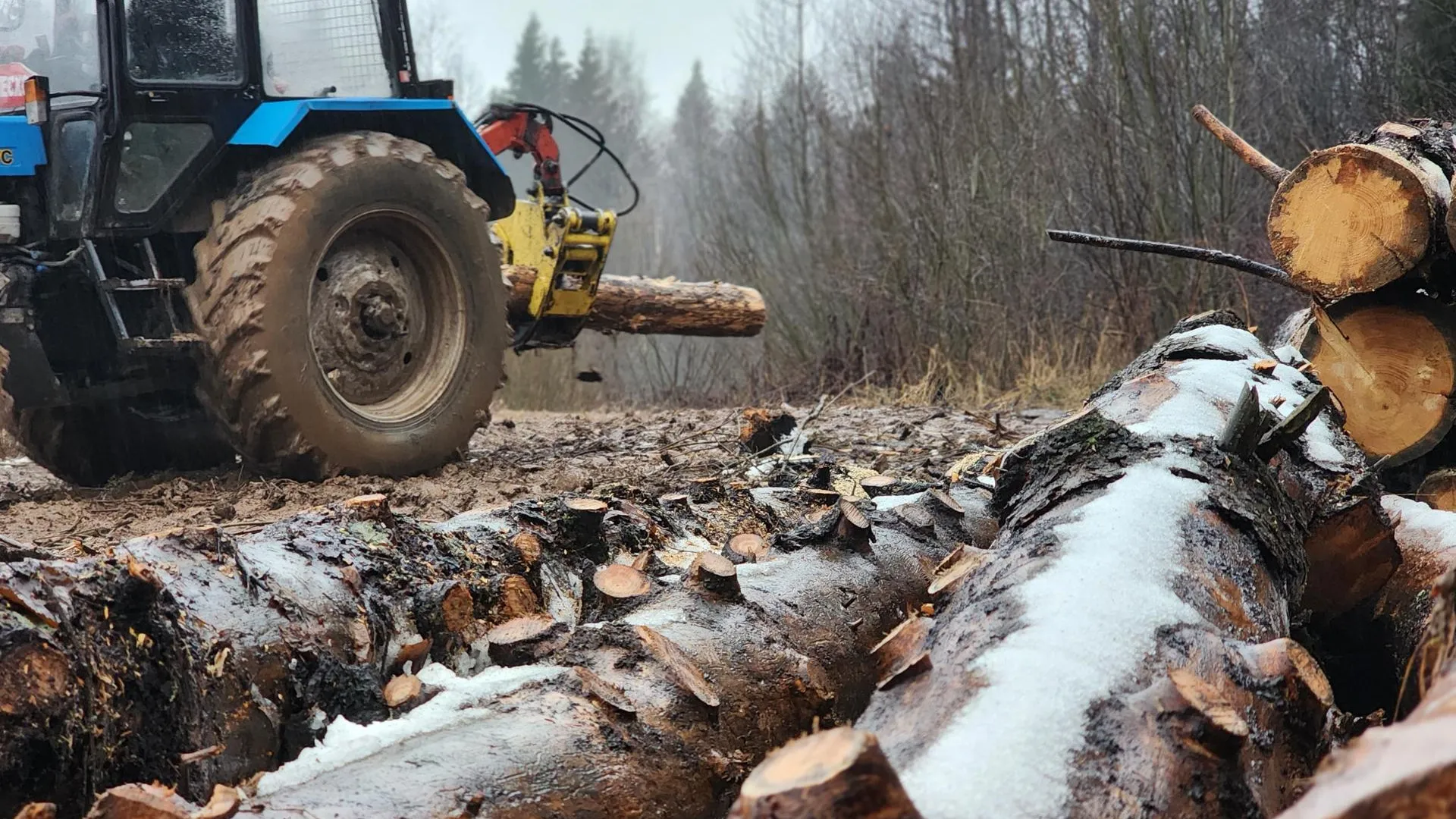 Фото: Елена Шумакова