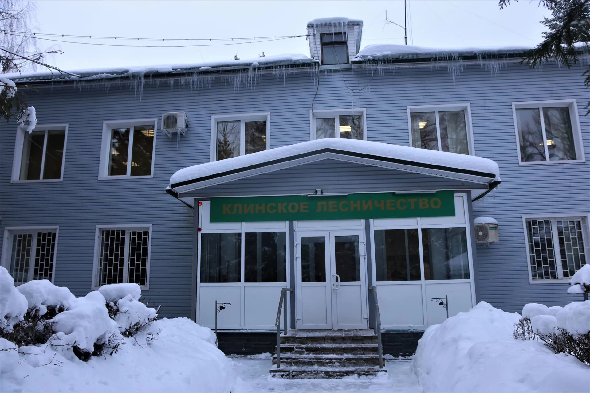 Фото: Пресс-служба Комитета лесного хозяйства Московской области