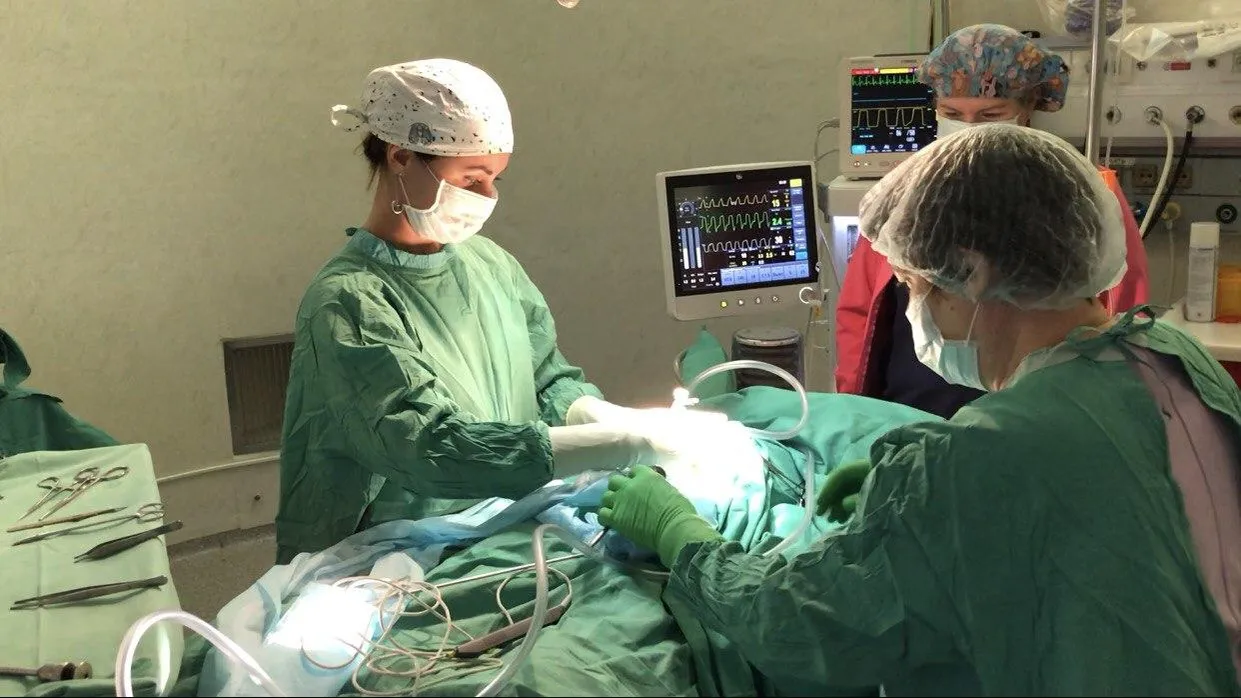 Источник: Минздрав МО