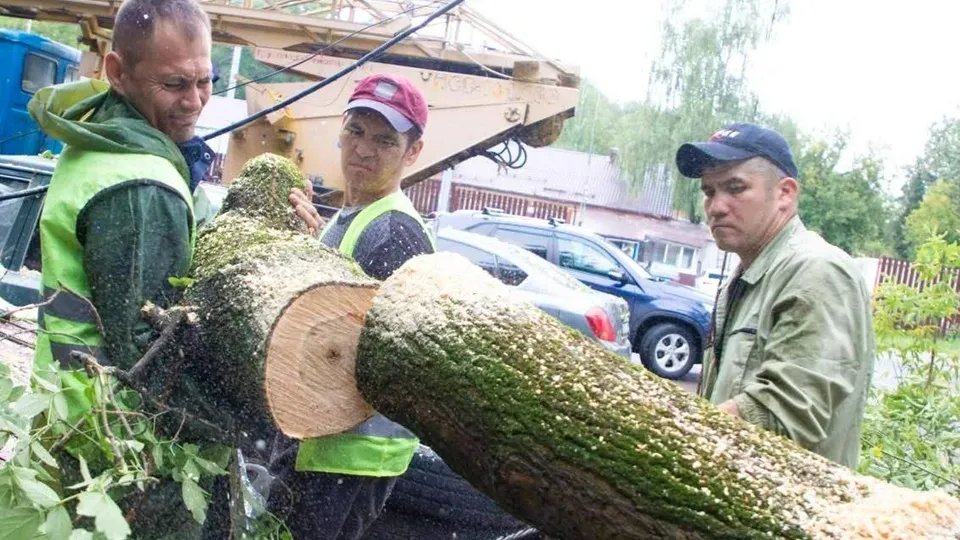 Фото: пресс-служба администрации г.о. Лыткарино