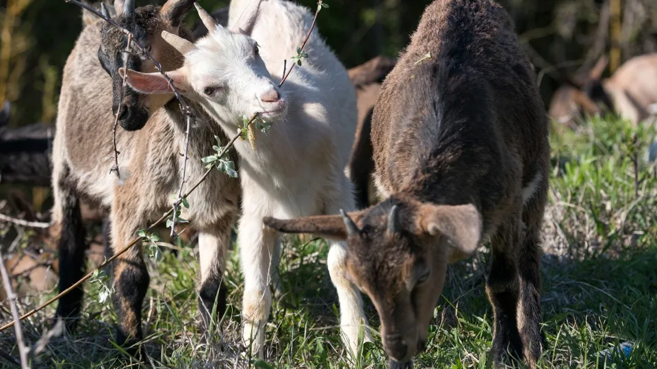 Фото: РИА Новости/Екатерина Лызлова