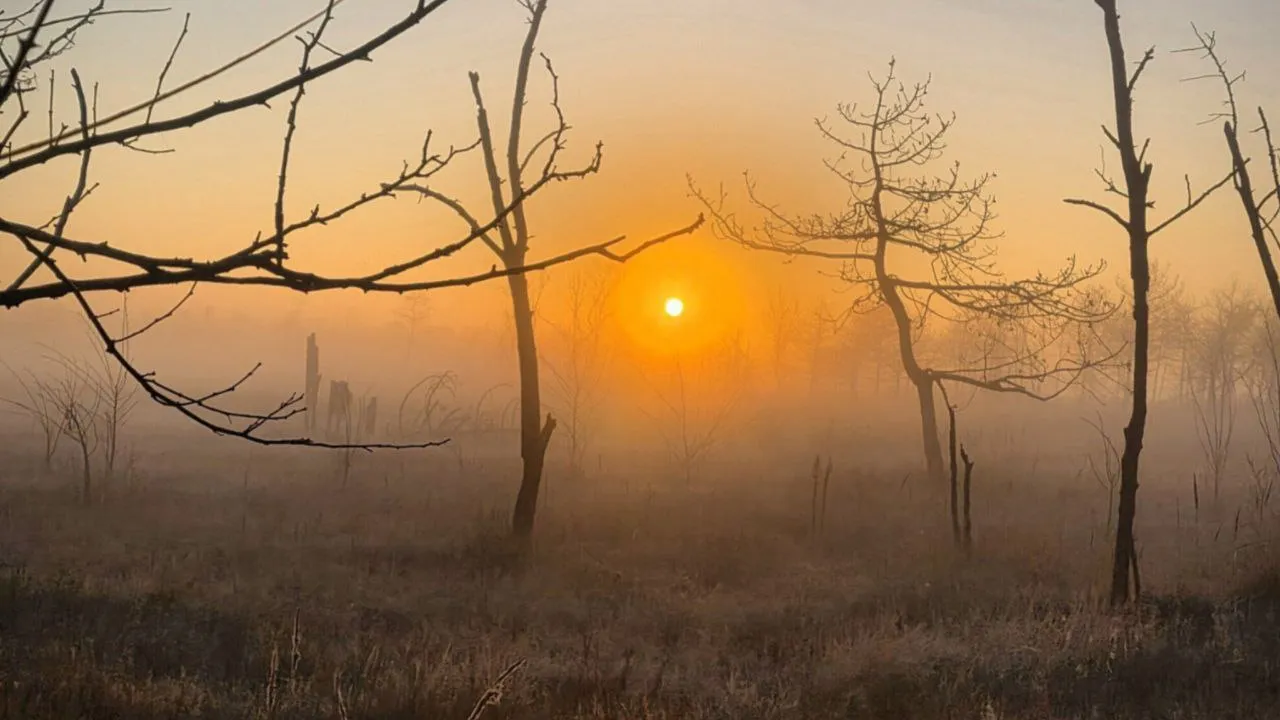 Фото: REGIONS/Анастасия Широкая