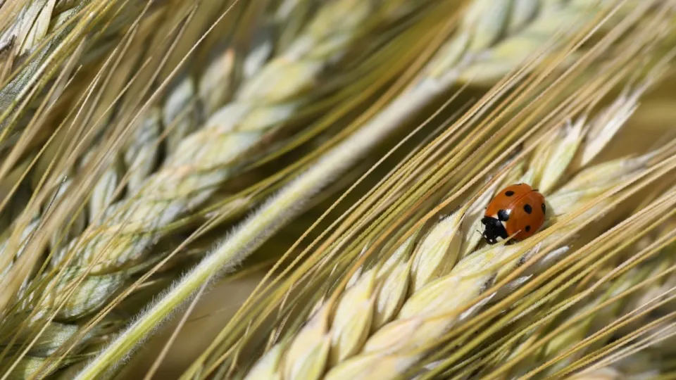 Фото: РИА Новости/Сергей Пятаков