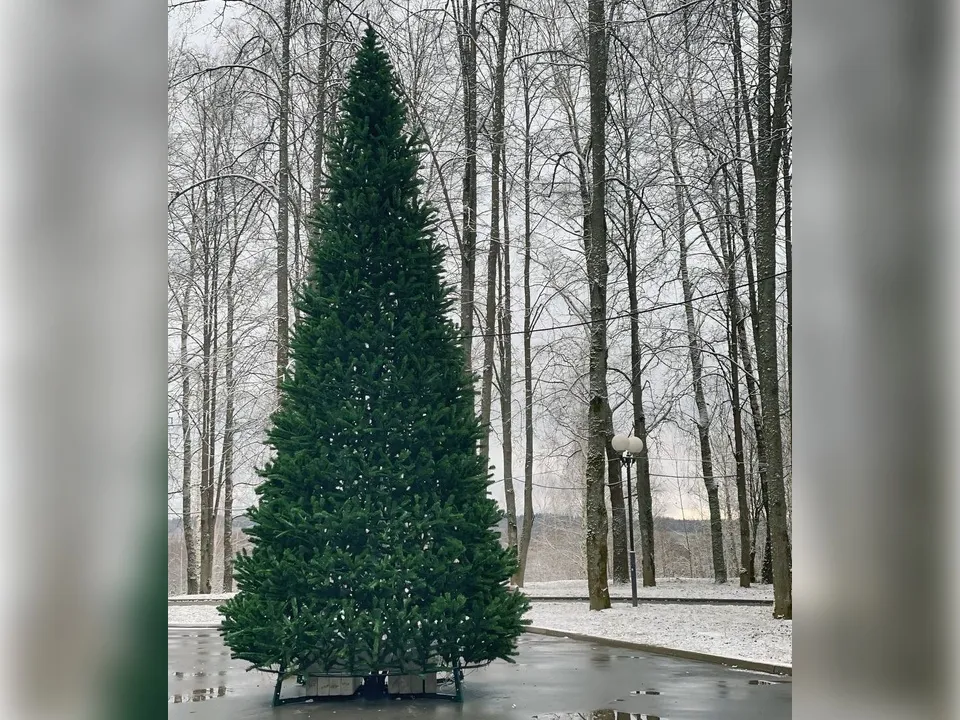 Фото: администрация Волоколамского округа