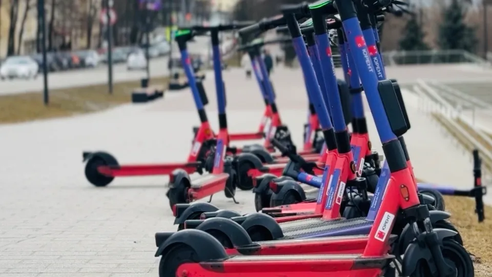 Фото: МедиаБанкПодмосковья/Ольга Стаферова