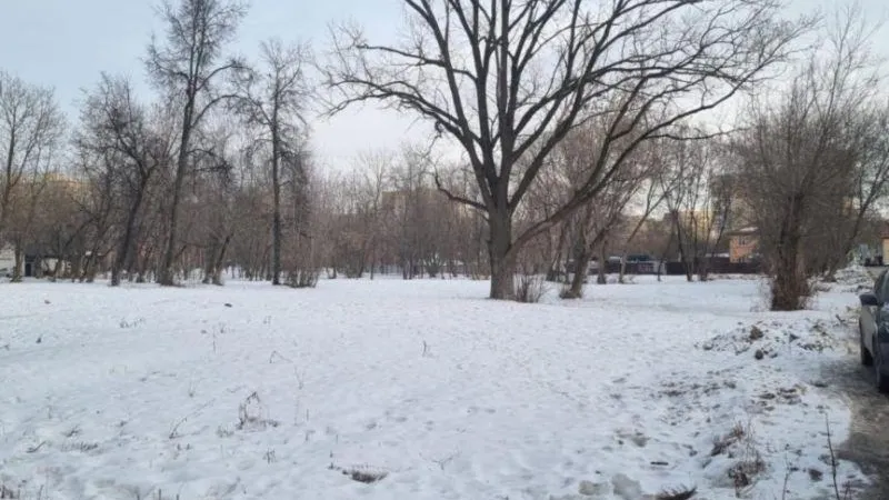 Новый сквер создадут в городском округе Подольск