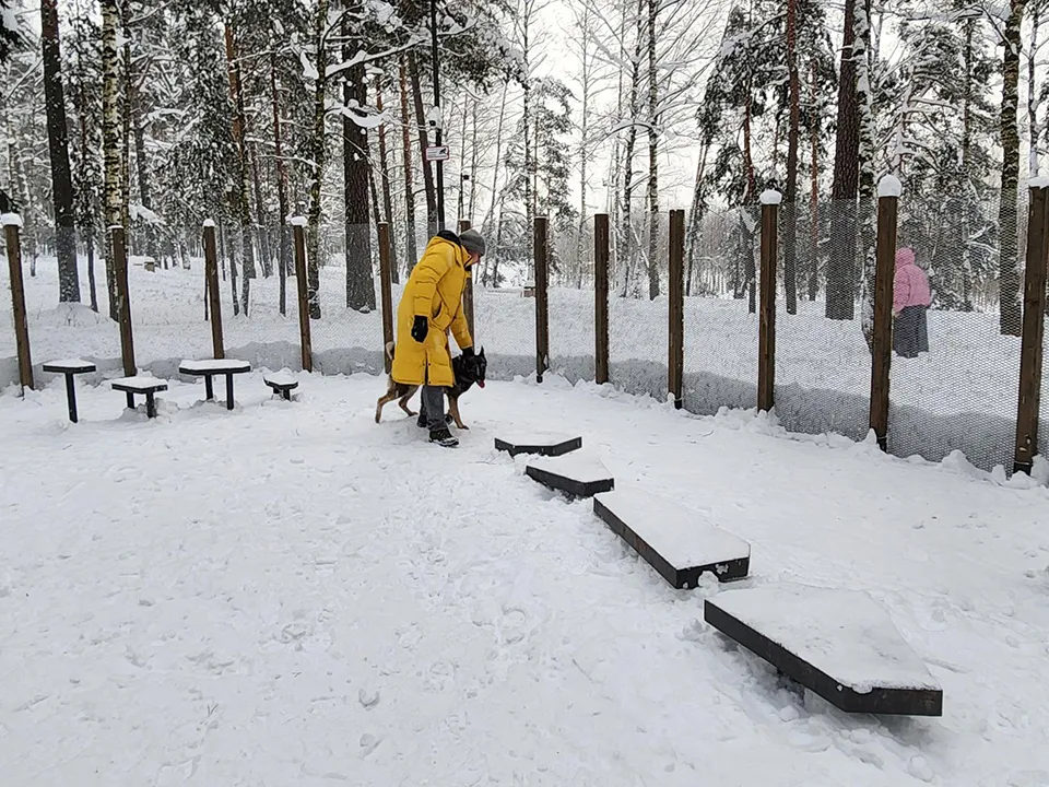 Фото: МедиаБанк Подмосковья/Екатерина Мелкозерова