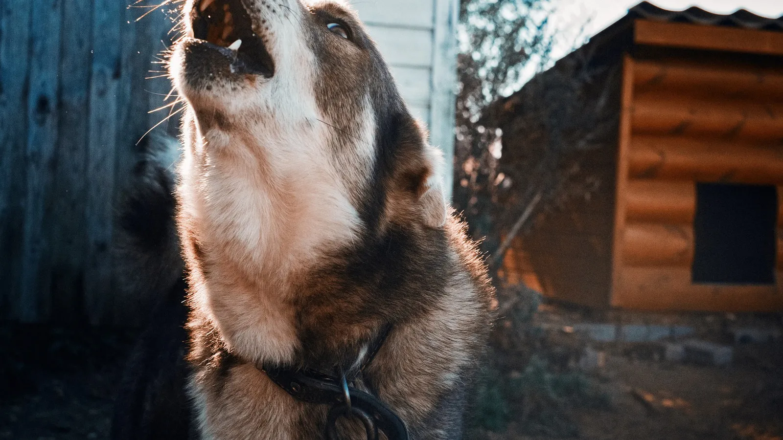 Фото: pxhere.com