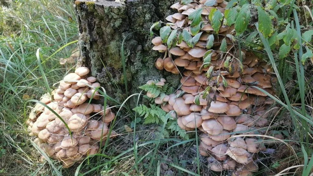 Фото: Василий Потапов