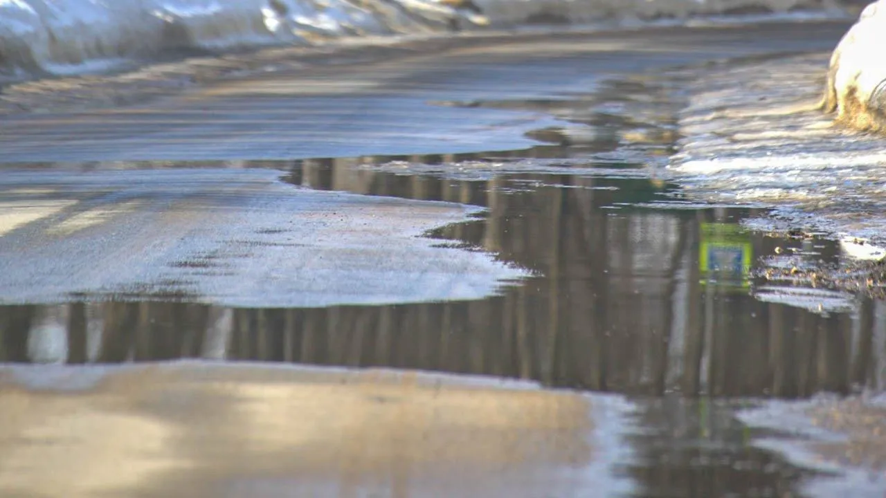 REGIONS/Дарина Левкина