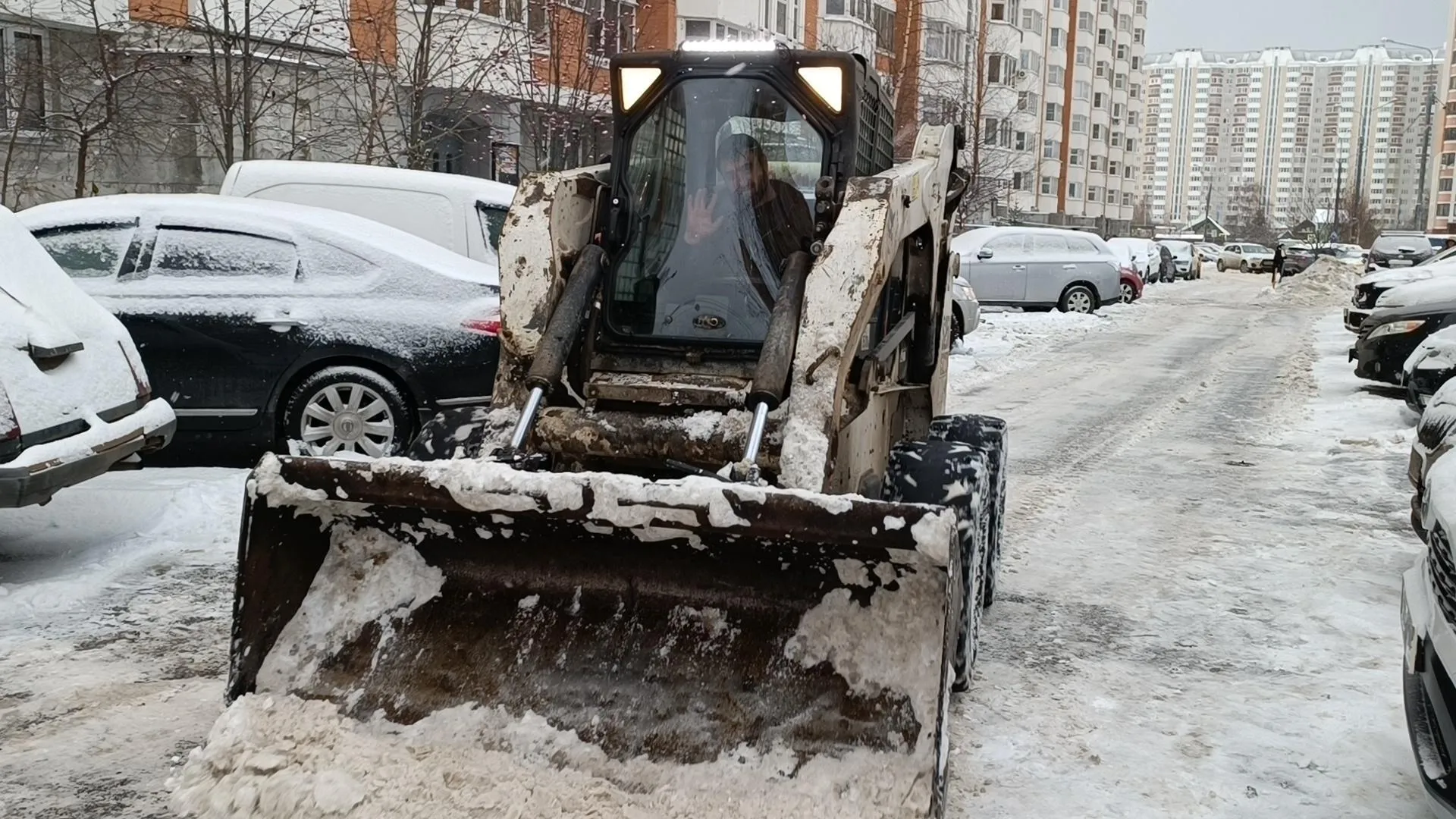 Екатерина Дятловская