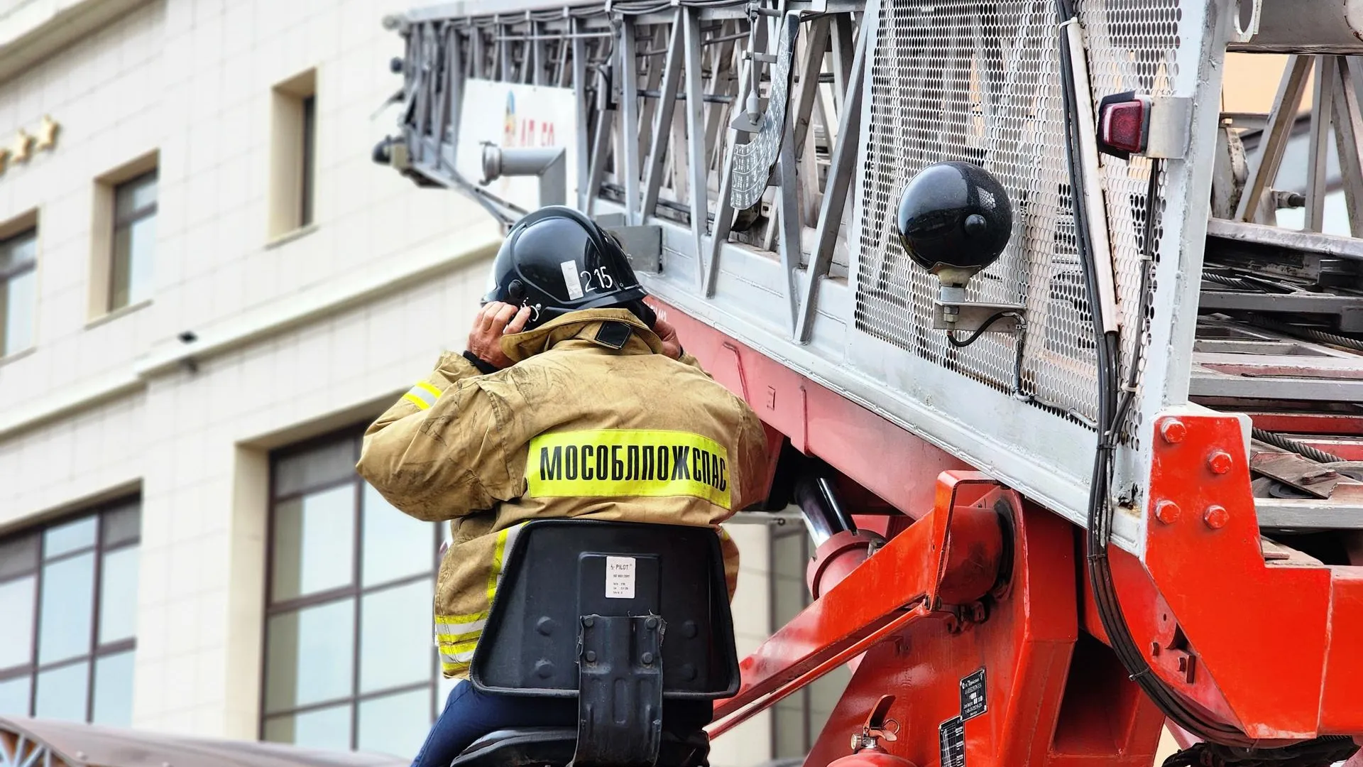 МедиаБанк Подмосковья/Полина Пахомова