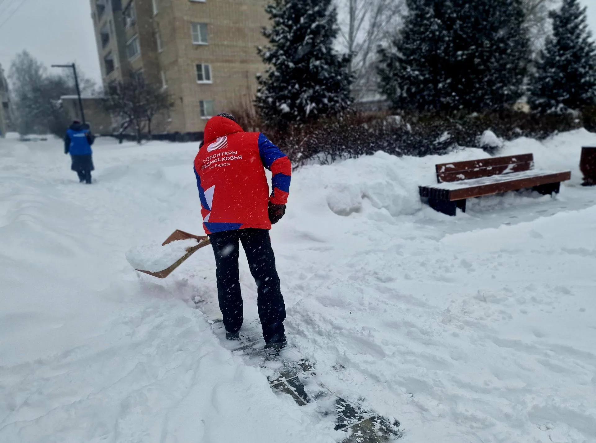 REGIONS/Ольга Шаронова