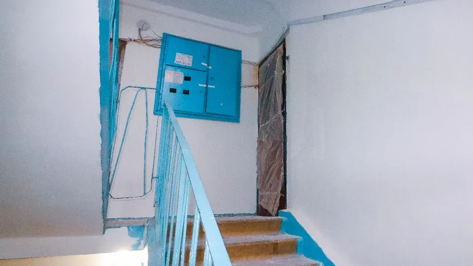 Фото: МедиаБанк Подмосковья/Данила Кирьянов