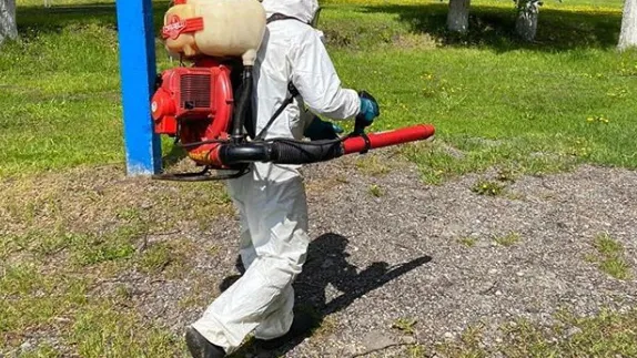 Фото: пресс-служба администрации г.о. Щелково