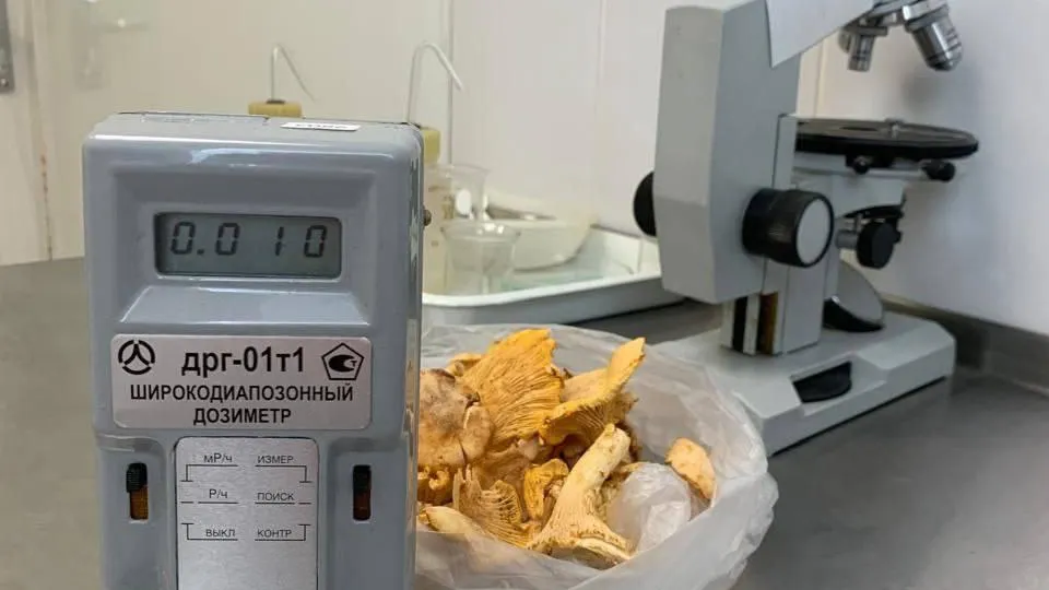 Фото: Министерство сельского хозяйства и продовольствия Московской области