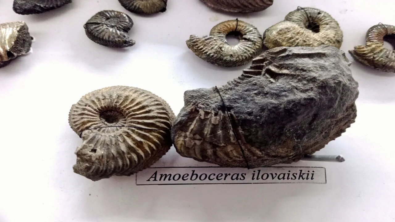 Фото: Вячеслав Смирнов