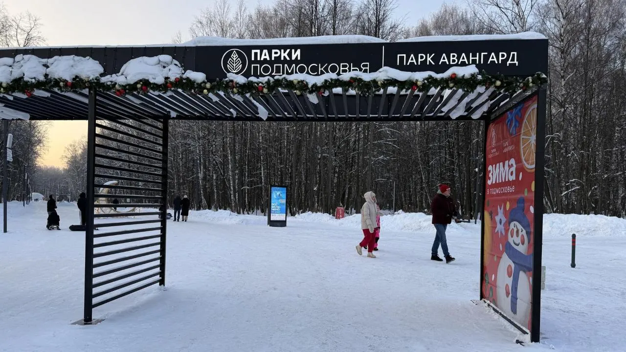 администрация г. о. Электросталь