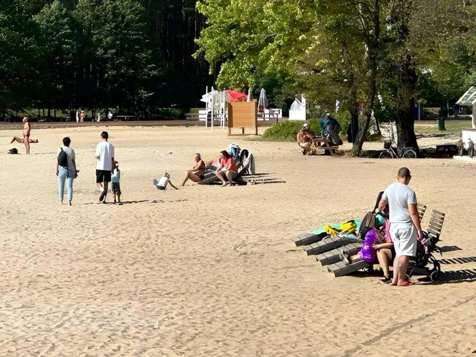 Фото: Министерство благоустройства Московской области