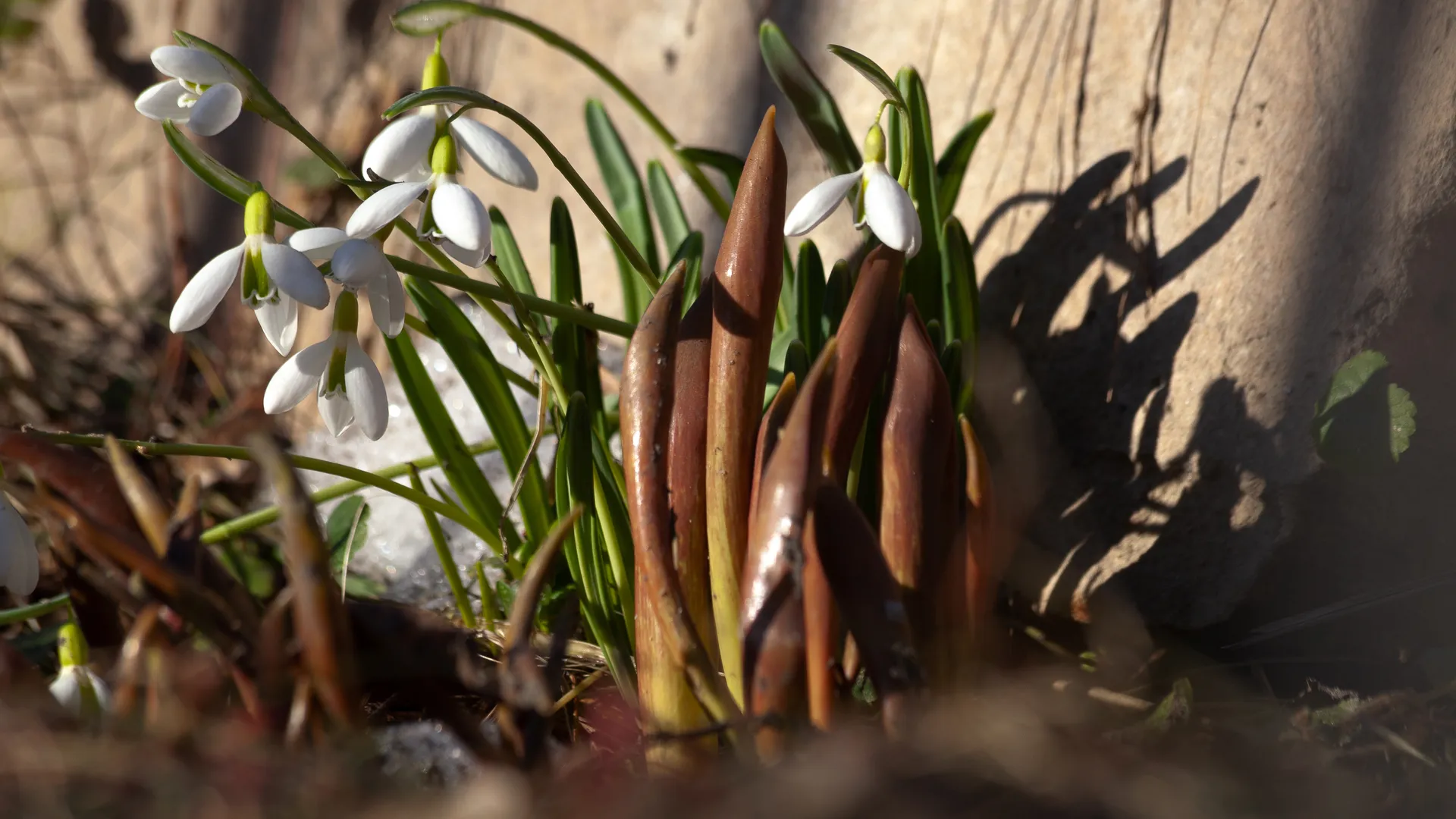 медиасток.рф