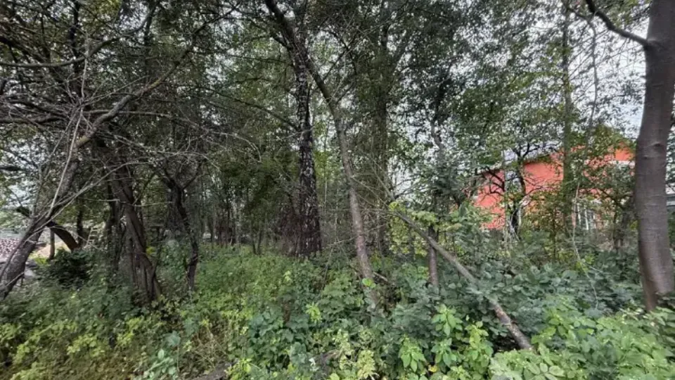 Фото: Единый портал торгов МО ЕАСУЗ