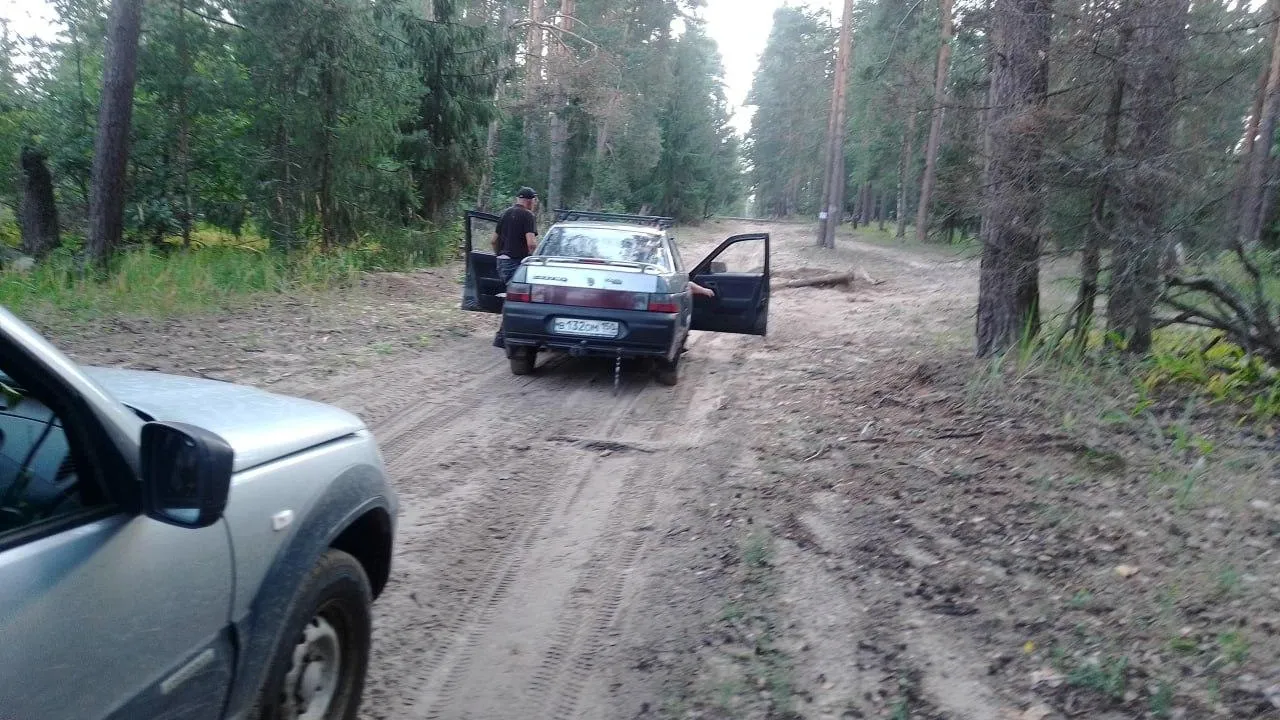 Фото: Комитет лесного хозяйства Московской области