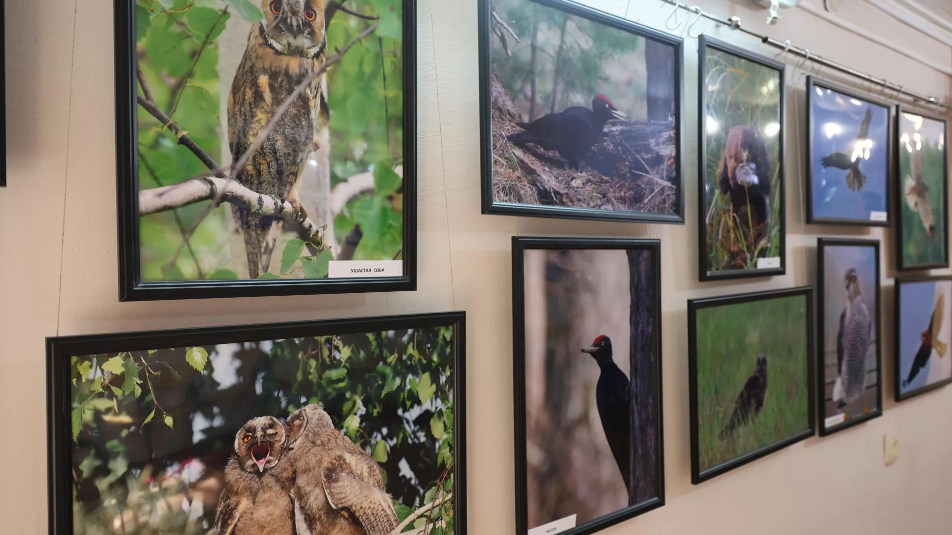 Администрация Павлово-Посадского г.о.