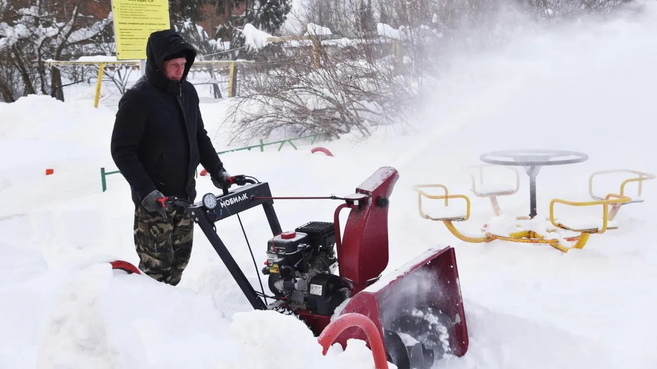 Владимир Останин