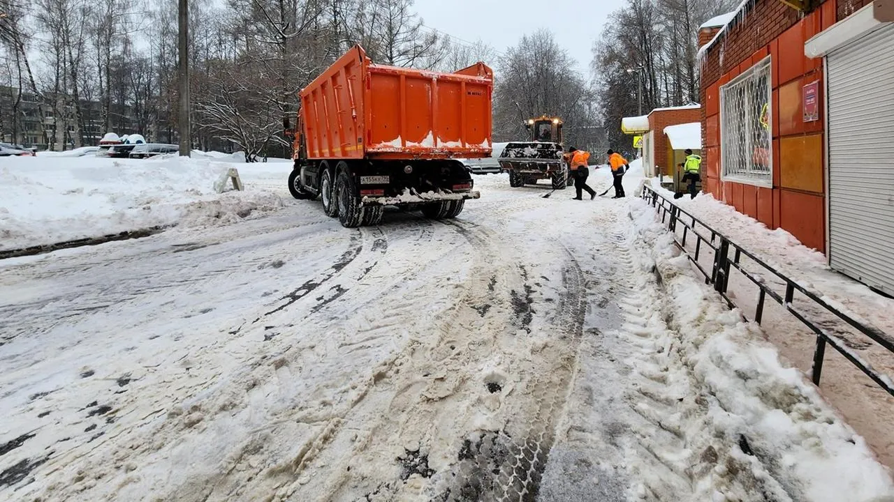 REGIONS/Мария Панина