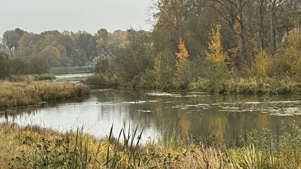 Фото: медиасток.рф