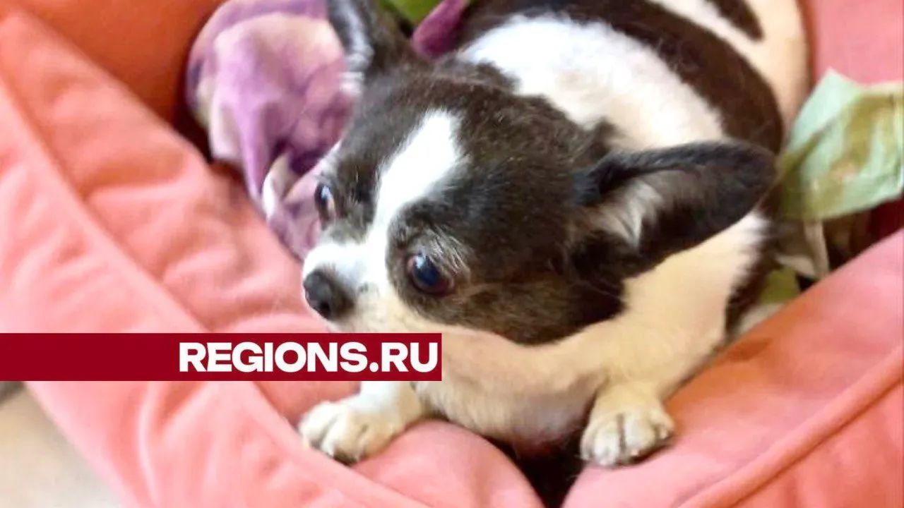 Фото: Юлия Чикунова