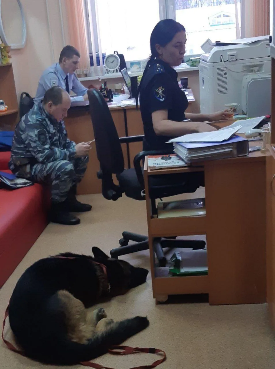 Фото: соцсети